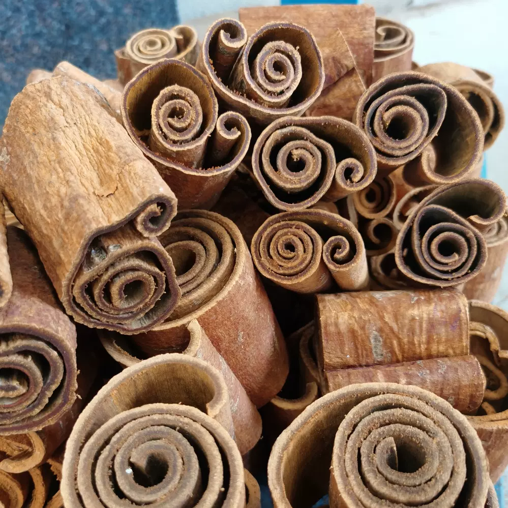 广西高山油桂无硫老树桂皮肉桂去皮纯天然原生态原产地250g500g