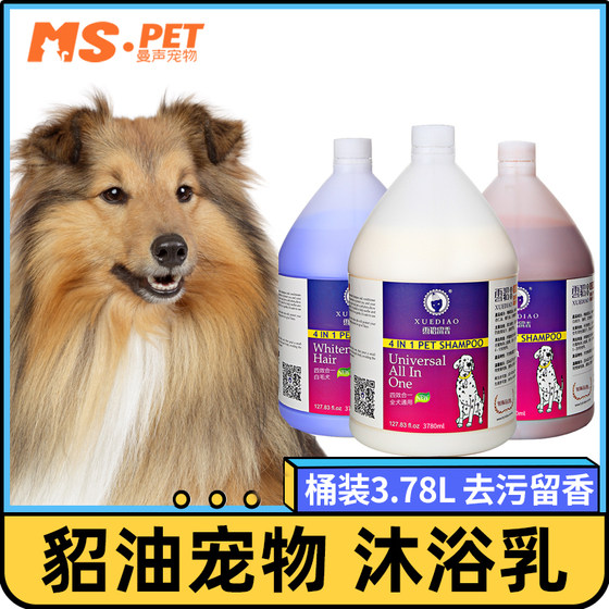 
Ferret scented dog shower gel 3.78L large barrel Samoyed Teddy Golden Retriever universal bath gel supplies