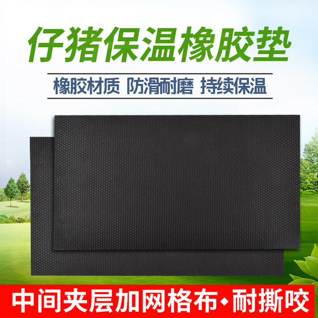 The 12 Best Infrared Saunas of 2026, Tested - Verywell Fit - Safe Thermal Plus Pig Enable Found Molded Apartment Market