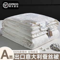 Export Silk Quilt 100% Mulberry Silk Spring and Autumn Quilt Winter Quilt Thickened Winter Cotton Quilt Air Conditioning Quilt Summer Cooling Quilt Quilt Core