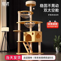 Cat Climbing Frame, Cat House, Cat Tree, All-In-One Solid Wood Space Capsule for Home Use, Small Apartment, Space-Saving Shelf, Cat Toys and Supplies