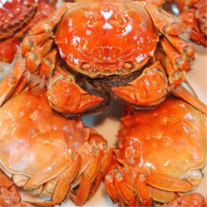 大闸蟹新品上市，和我一起尝个鲜吧(图2)