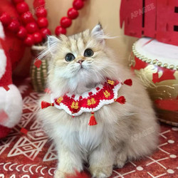Cat wedding decoration dowry pet happy word collar festive scarf dog wedding clothes saliva scarf cat bow tie