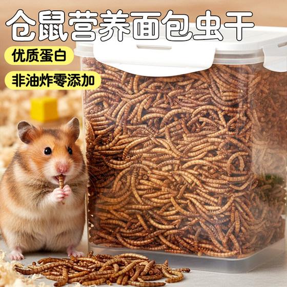 
Rat mealworm dry food special feed rat food pet food snacks insect dry feeding feed ingredients