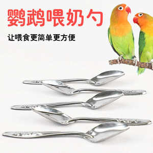
Parrot milk powder feeding spoon hand-raised baby bird feeding spoon feeding tool feeding spoon feeding baby bird supplies 1