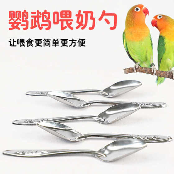 
Parrot milk powder feeding spoon hand-raised baby bird feeding spoon feeding tool feeding spoon feeding baby bird supplies 1
