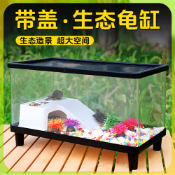 Turtle breeding tank, household special turtle tank with sun terrace and climbing platform, villa ecological landscaping turtle tank with fish tank
