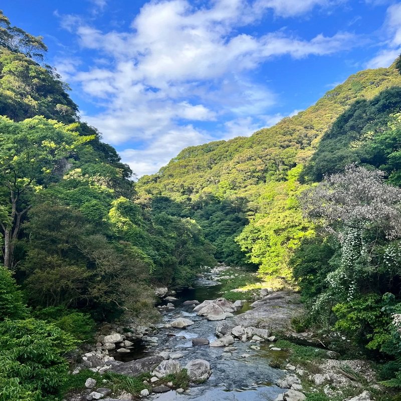 长沙出发广州 1天自由行 含酒店住宿游玩广州塔