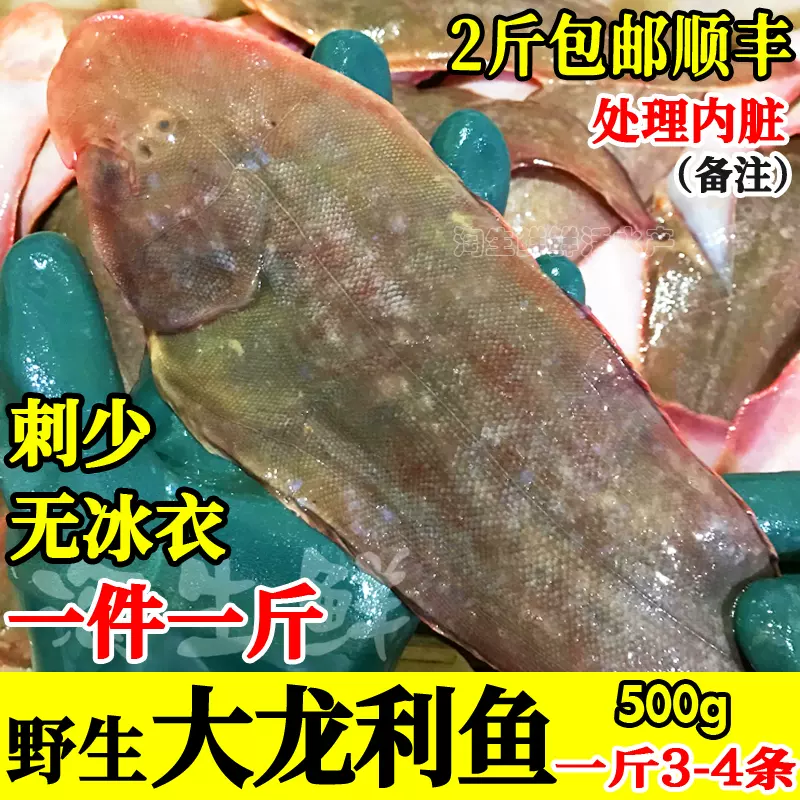 海捕大龍利魚海鮮踏板魚鰨目魚舌頭魚子板魚