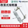 cầu chì 110v Cầu chì ngắt điện áp cao ngoài trời 10kv RW12-15/100A 200A cầu chì công tắc vòng gắn trên cột chì ống trung thế vỏ cầu chì