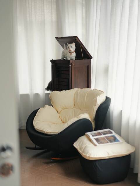 Eggshell Rocking Chair Sofa Accessible Luxury Balcony For Home Casual ...