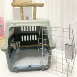 High-End Premium Bird Flight Cages: Bald-Faced Eagle Cage, Red-Billed Parrot Cage, White-Necked Vulture Cage, Outdoor Bird Cage, Crow Cage