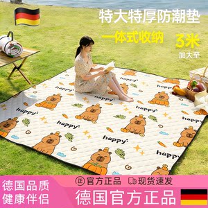 
German picnic mat portable camping home park grass outdoor mat waterproof and moisture-proof thickened tent carpet