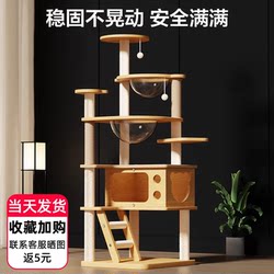 Cat Climbing Frame, Cat House, Cat Tree, Integrated Cat Shelf, Large Scratching Post, Sky-High Column, Jumping Platform, Space Capsule, Complete Collection of Cat Supplies