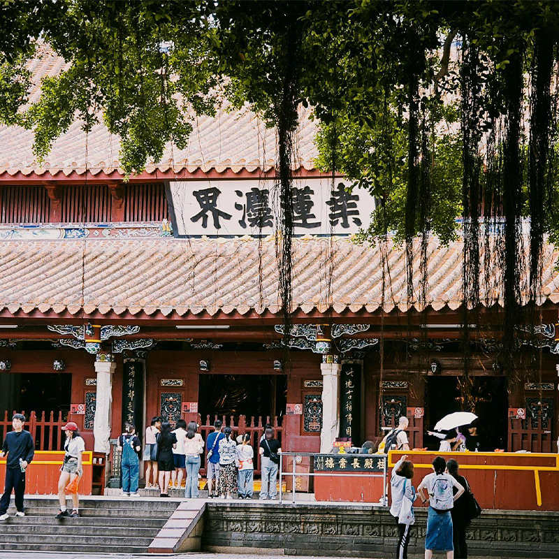 厦门旅游鼓浪屿+赶海抓蟹+泉州簪花纯玩5天4晚15人团0购物跟团游