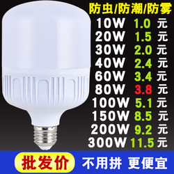 [Special Offer] Led Energy-Saving Light Bulb for Home Use, Super Bright E27 Screw Base, White Light, Indoor Eye-Protection, High-Power Lighting Bulb