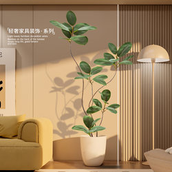 Simulated Rubber Tree High-End Potted Green Plant Ornaments Home Decoration Indoor High-End