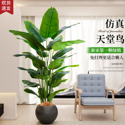 Simulated Green Plant Bird of Paradise Indoor High-End Landscaping Potted Plant Light Luxury Living Room Large Floor-Standing Ornament Artificial Tree