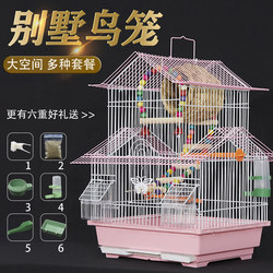 Large Parrot Cage for Budgerigars, Lovebirds, and Finches, Small Bird Cage with Metal Roof Design, Ornamental Cage