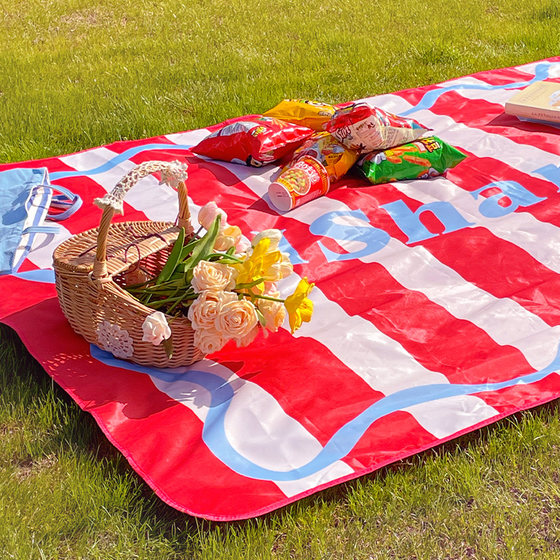 
Portable outdoor picnic mat, thickened waterproof and moisture-proof mat, special ground mat for tent, camping folding portable beach cloth
