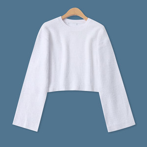 
Short bright silk sweater Spring and autumn new foreign trade women's fashion age-reducing round neck pullover straight long-sleeved sweater 33707