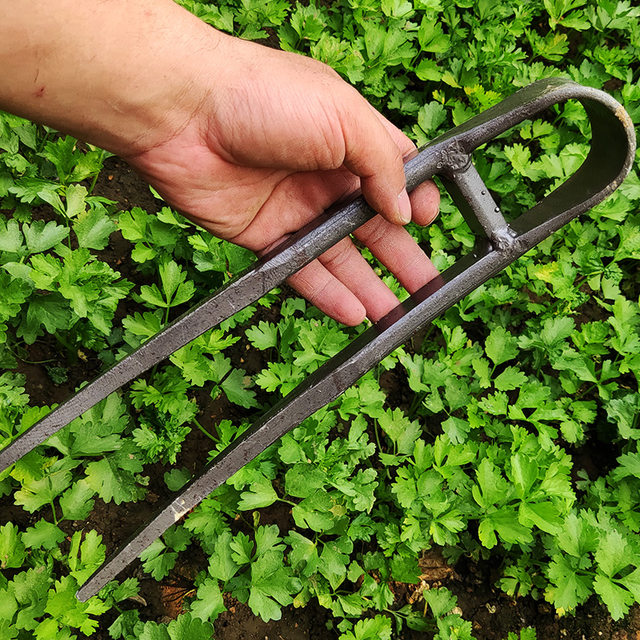 Hoe, plowing rake, soil loosening artifact, household vegetable ...