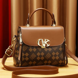 Women's Bag 2025 New Crossbody Bag Mom Bag Middle-Aged Ladies Light Luxury Niche Style Single Shoulder Handbag