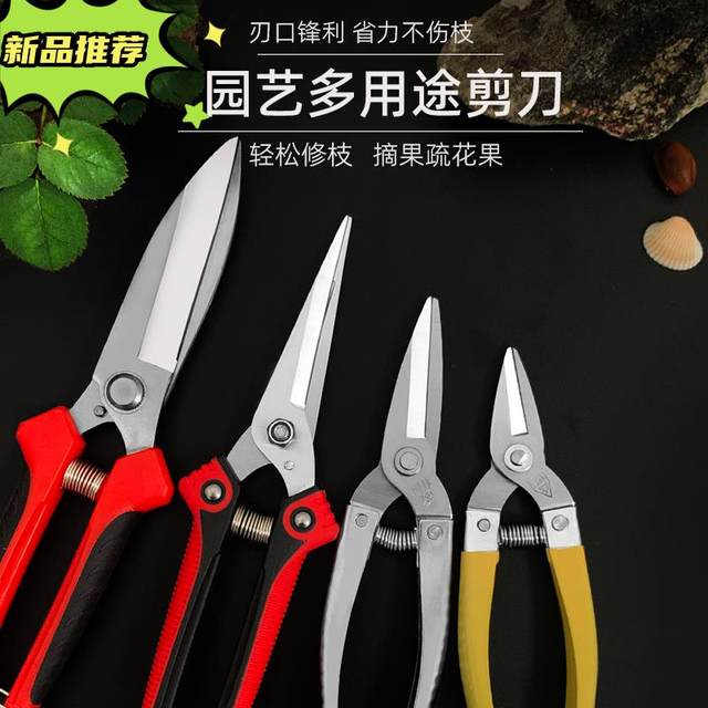 Horticultural scissors picking, scissors, round head scissors, cutting stainless steel Luo Ding new scissors scallion special
