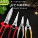 Horticultural scissors picking, scissors, round head scissors, cutting stainless steel Luo Ding new scissors scallion special
