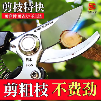 Household labor-saving pruning shears garden scalp