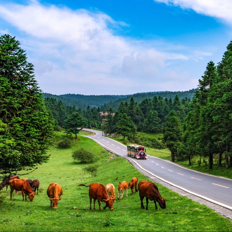 8人小团-武隆仙女山天生三桥九黎城龚滩古镇乌江游船二日游