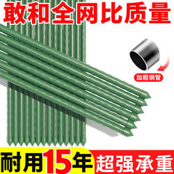 Trellis Flower Stand with Plastic-Coated Steel Pipes for Roses, Beans, Tomatoes, Cucumbers, Gardening Support Rod, Grape Plant Support Frame