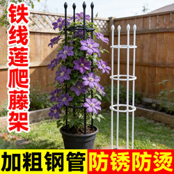 Clematis Climbing Trellis Flower Stand Support Rod Rose Climbing Frame Iron Art Flower Plant Anti-Fall Support Bracket