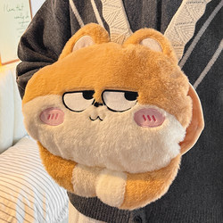 Cute Hot Water Bottle, Rechargeable, Explosion-Proof, Genuine 2025 New Model, for Girls to Use on the Stomach and as a Hand Warmer