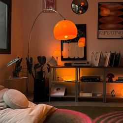 Vintage Mid-Century Floor Lamp Bauhaus Living Room Sofa Side Trendy Homestay Fishing Lamp High-End Atmosphere Lamp