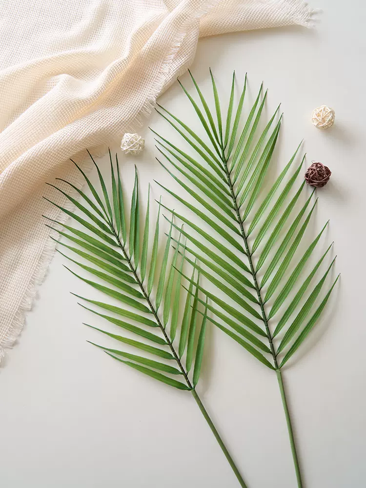 ins北欧仿真软胶散尾叶 绿植拍照道具网红摄影背景布景龟背叶装饰