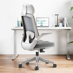 Computer Chair, Mesh Office Chair, Home Ergonomic Chair, Adjustable Gaming Chair, Comfortable for Long Sitting, Office Meeting Chair