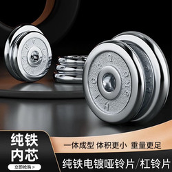 Electroplated Barbell Weight Plates, Dumbbell Plates, Cast Iron Home Fitness Weight Plates 2.5Kg-20Kg, Small Hole, Large Hole Weight Plates