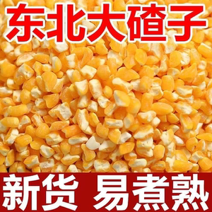 
Authentic Northeast big ballast new grain Heilongjiang new corn stupid big ballast porridge miscellaneous grains coarse grain stupid ballast nutritious porridge