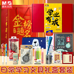 Morning Light Academic Achievement Stationery Gift Box Class Rewards Gift Giving Elementary School Student Gift First Grade Student Back-To-School Gift Pack Gel Pen Set School Activities Future Potential