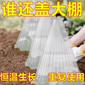 
Vegetable plant cover, insect-proof, bird-proof, melon seedling, vegetable seedling seedling, greenhouse seedling, heat preservation and anti-frost protective cover