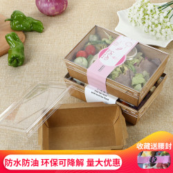 Disposable Kraft Paper Lunch Box with Window, Salad Takeout Box, Light Meal Bento Box, Fast Food Lunch Box, Paper Eco-Friendly White Paper Box