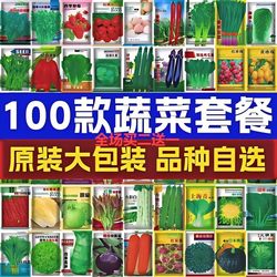 Vegetable Seeds Four Seasons Sowing Rapeseed Package Courty