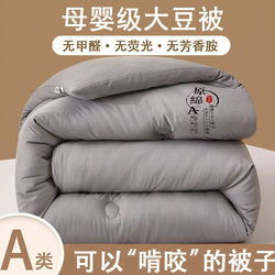 Pure Cotton Quilt Core Soybean Quilt Thickeneded Winter Quilt Student Dormitory Single Spring & Fall Quilt Summer Quilt Universal for All Seasons