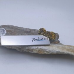 Original Radisson Hotel Employee Badge Name Tag Logo Company Emblem Chest Badge Front Desk Yesican Badge Store Logo