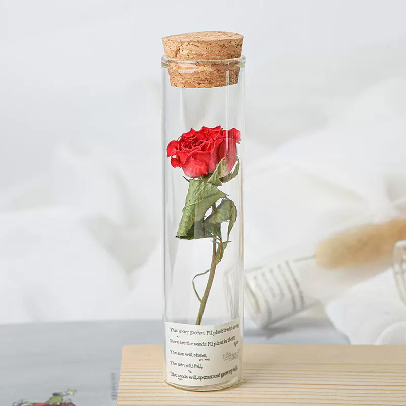 玫瑰花蔷薇真花玻璃试管植物标本许愿瓶毕业季生日礼物婚礼