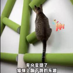 No-Drill Cat Scratching Post, Cat Climbing Frame, Cat Climbing Tree, Self-Adhesive Cat Climbing Post, Wall-Mounted Cat Climbing Frame, Wall-Mounted Jumping Platform