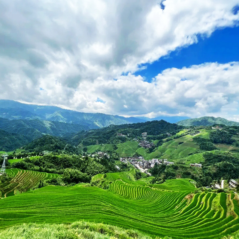 【含高铁】广西桂林阳朔旅游龙脊梯田4天3晚跟团游遇龙河竹筏漂流