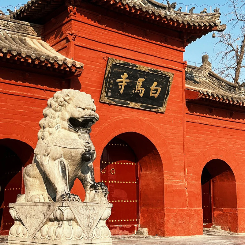 【纯玩含高铁】河南洛阳旅游龙门石窟白马寺少林塔林4天3晚跟团游