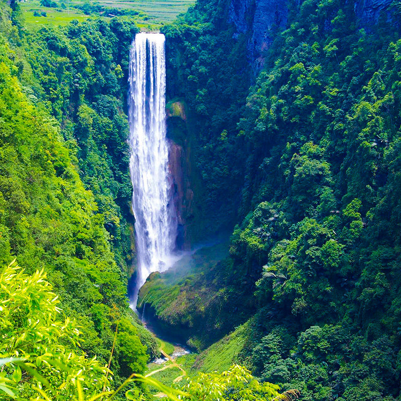 广西+巴马+崇左+4天3晚跟团游+0购物+德天瀑布/通灵大峡谷/百鸟岩